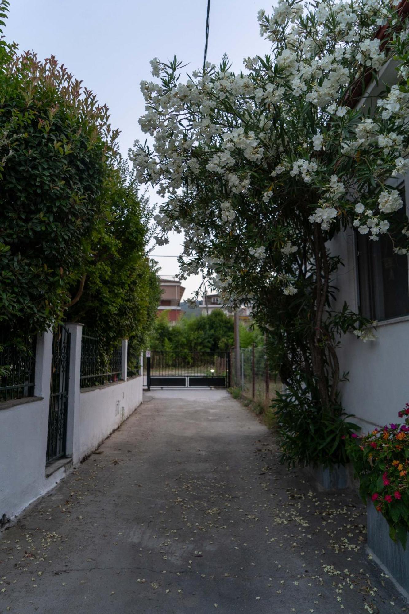 Terrazzo House Villa Platamonas Exterior photo